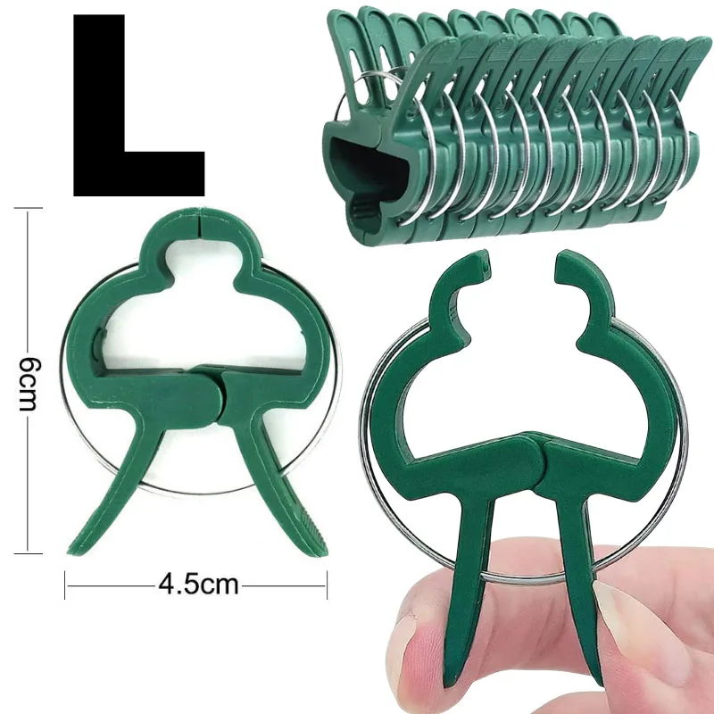 L- 6x4.5cm