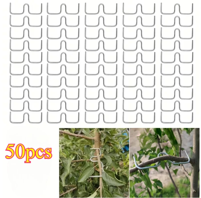 50pcs