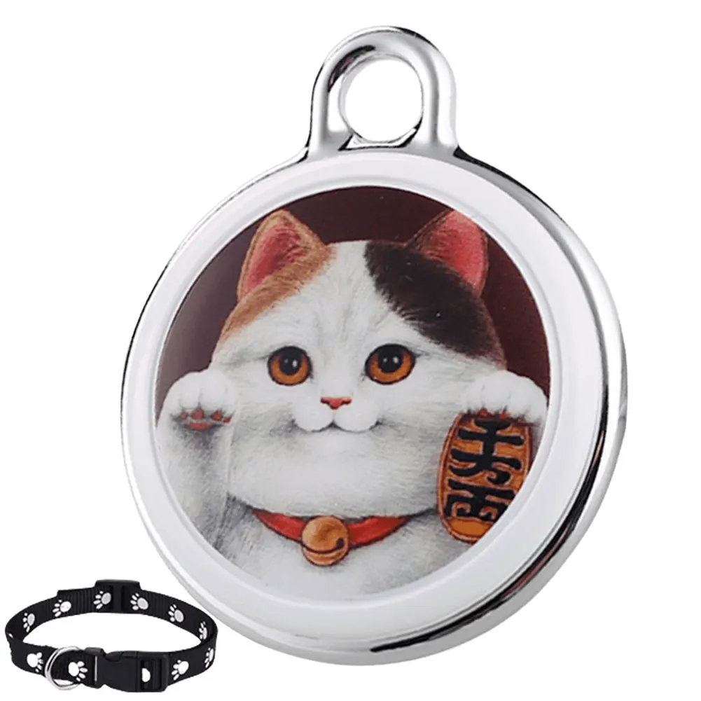 Cat 2
