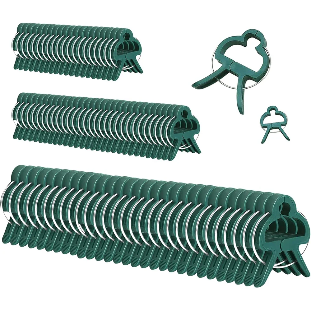 10pcs