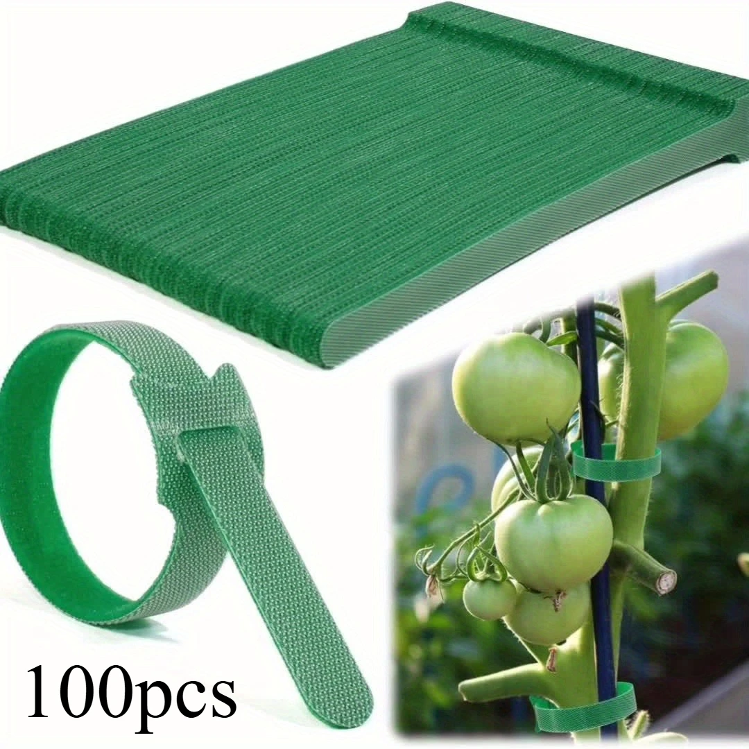 100pcs
