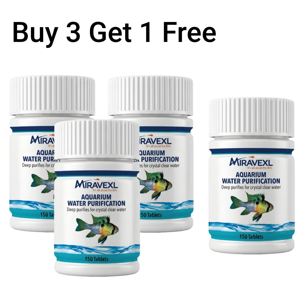 4PCS