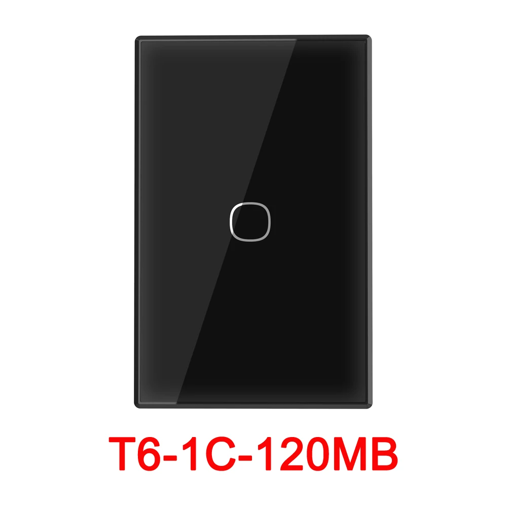 T6-1C-120MB