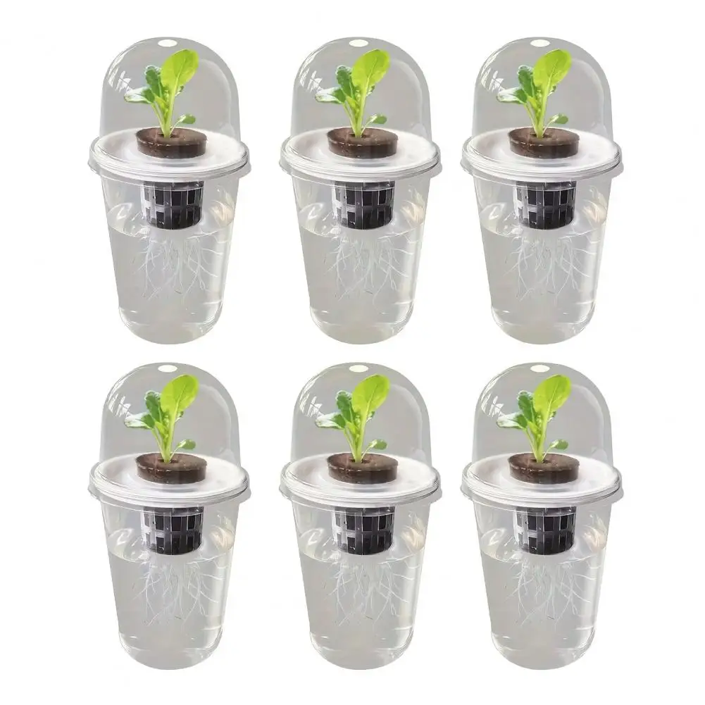 6pcs