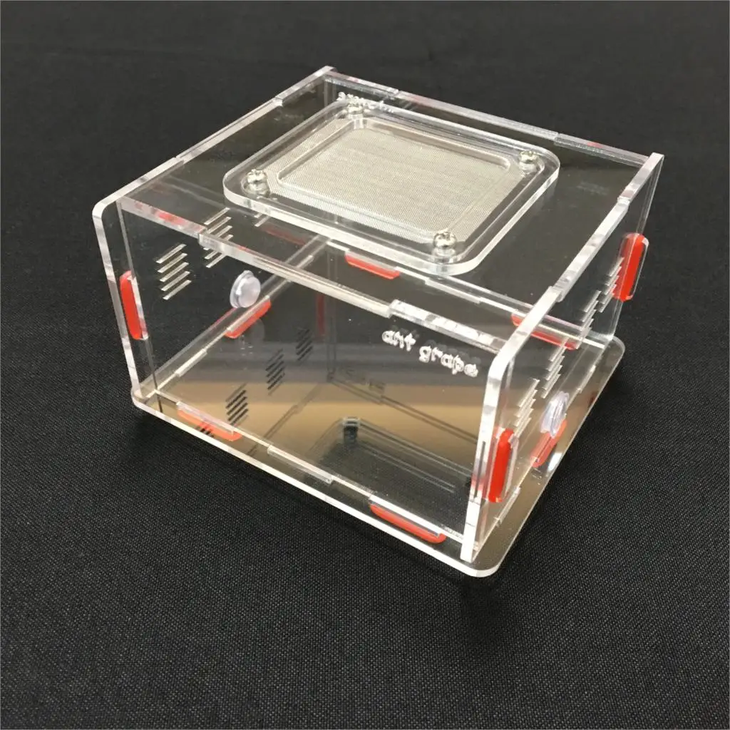 transparent