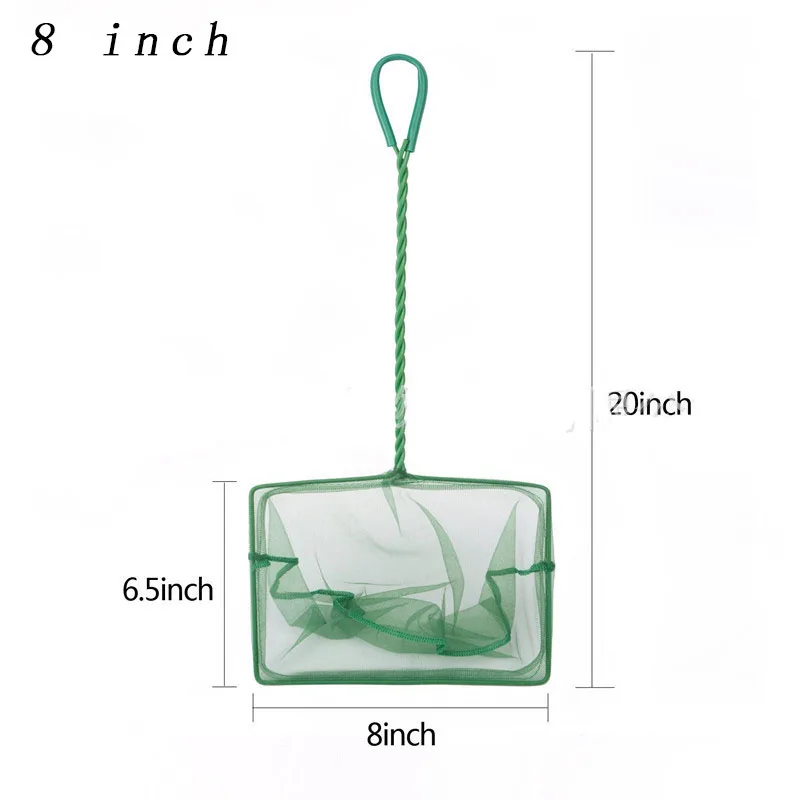8 inch