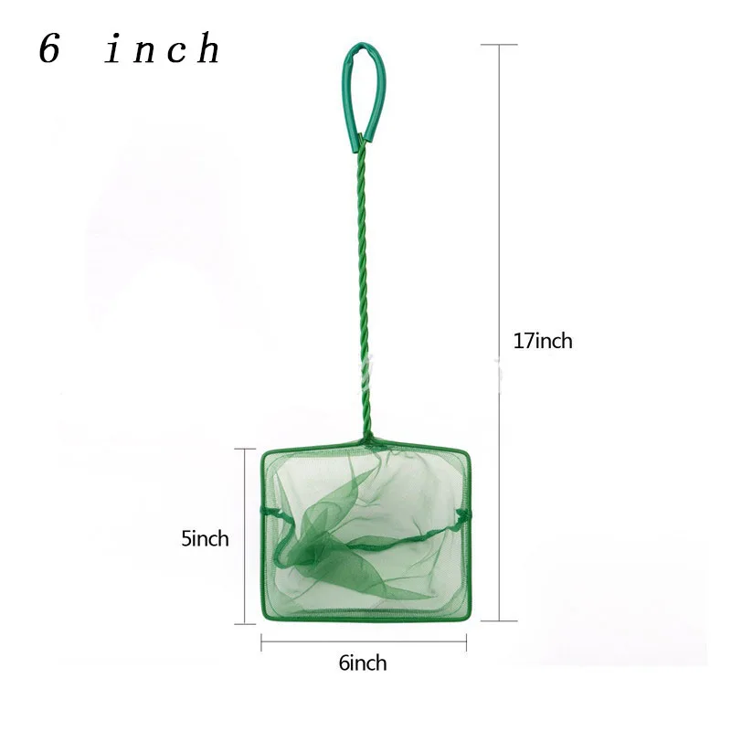 6 inch