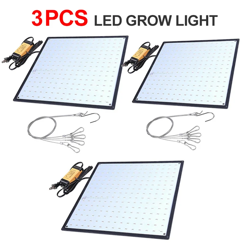 3 pcs