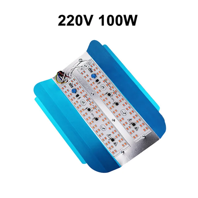 100W  220V