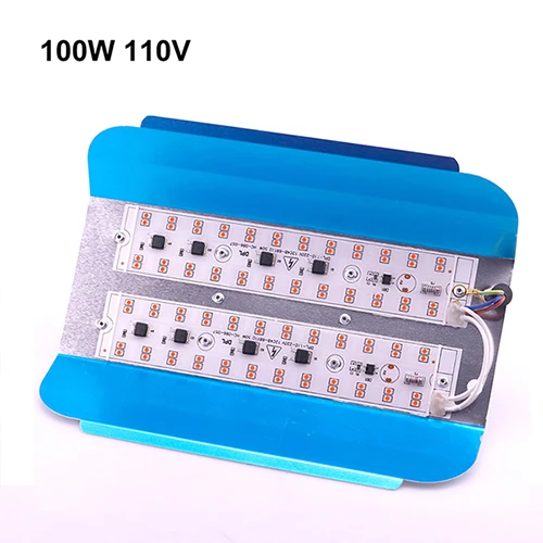 100W 110V