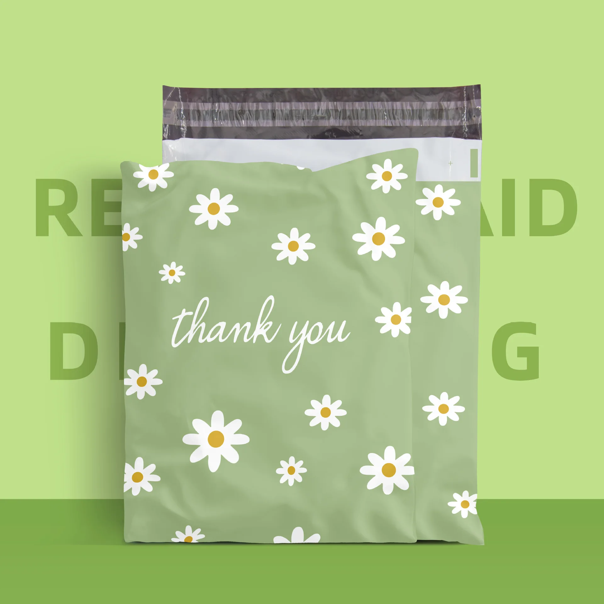 daisy